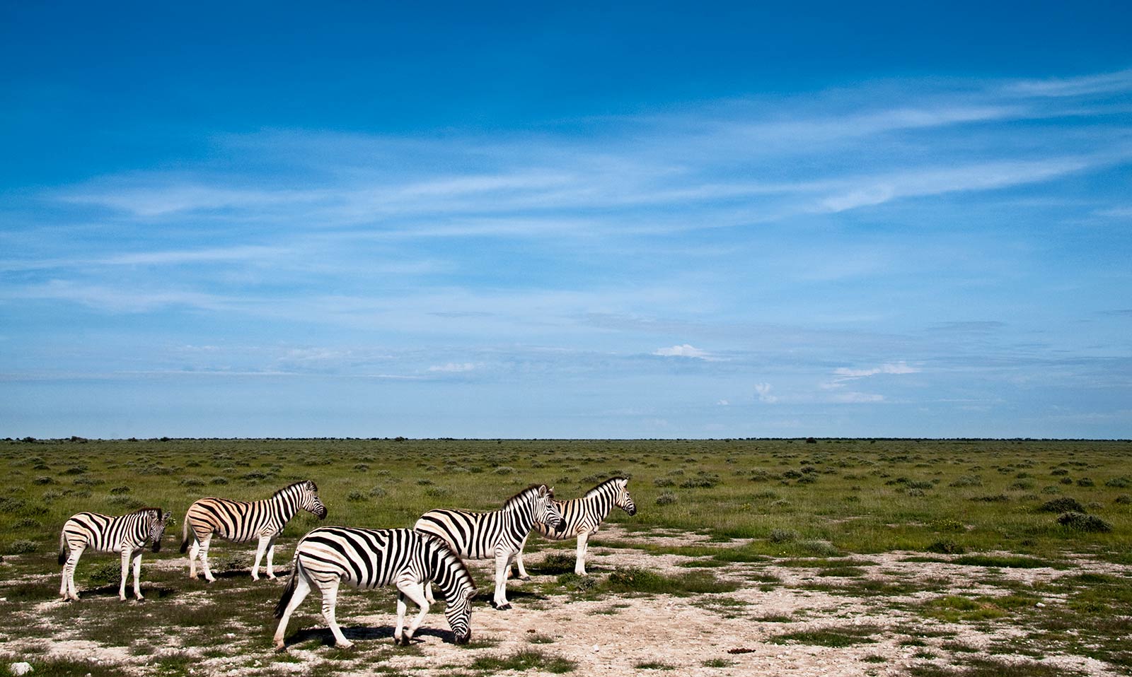 Etosha National Park | Hide & Seek Luxury Travel