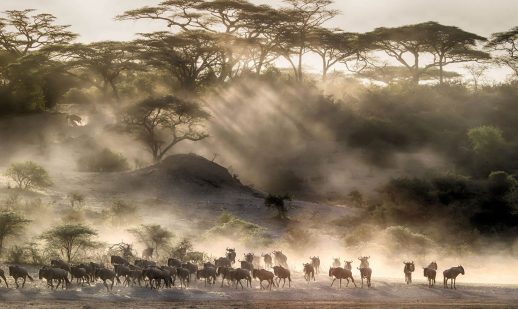 Masaai Mara Kenya ANGAMA-MARA---Aerial-view---Scott-Ramsay